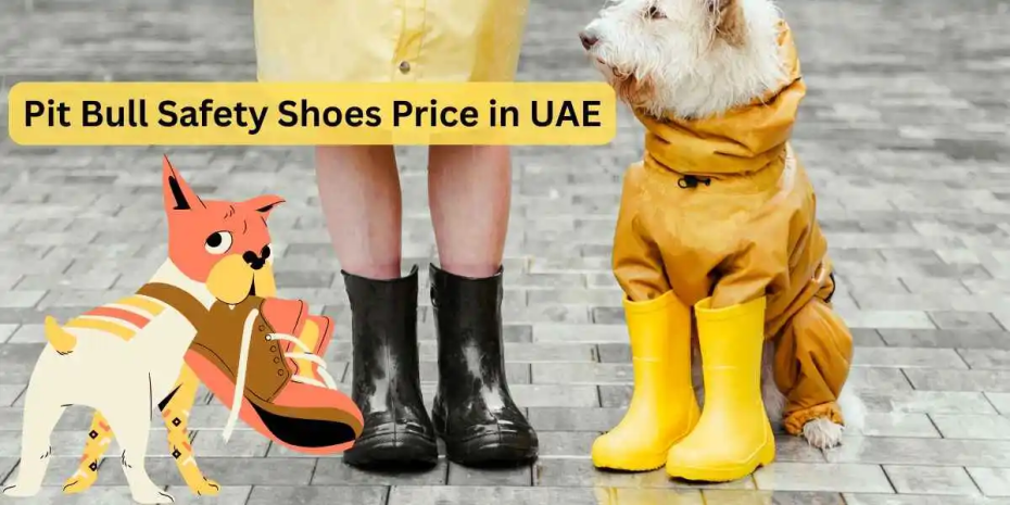 Pit Bull Safety Shoes Price in UAE 2025